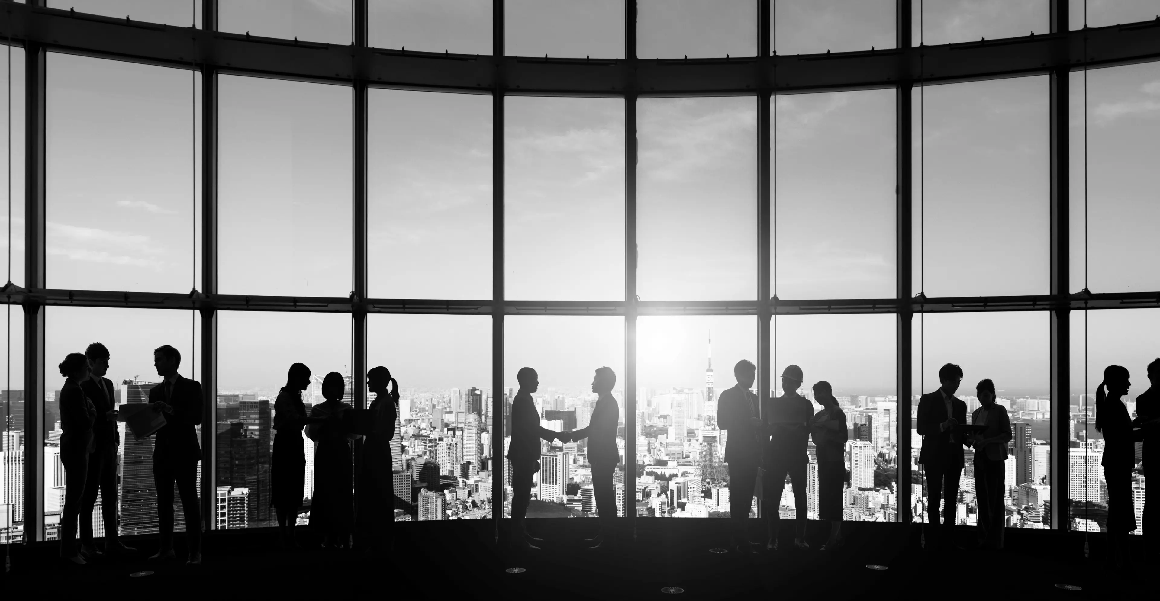 Business Background 1